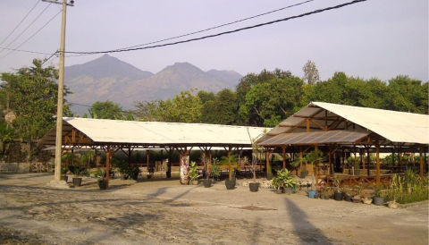 Dijual Rumah Makan dan Kolam Pancing di Dekat Taman Safari 2, Prigen